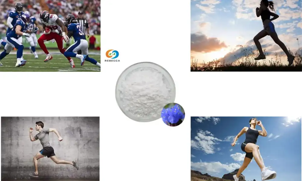Ecdysterone vs Turkesterone: Which Builds More Muscle?